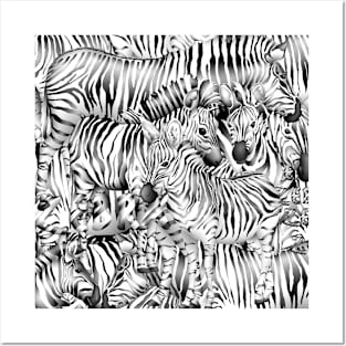 Zebras Posters and Art